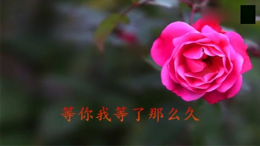 一首经典歌曲《等你那么久》听不够,好听到心碎!