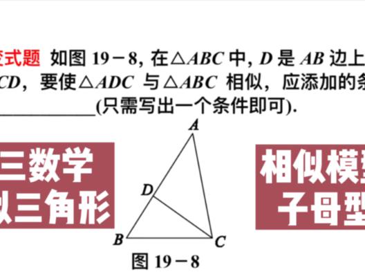 初三数学 相似三角形经典模型 子母型 还添什么条件才能相似 西瓜视频