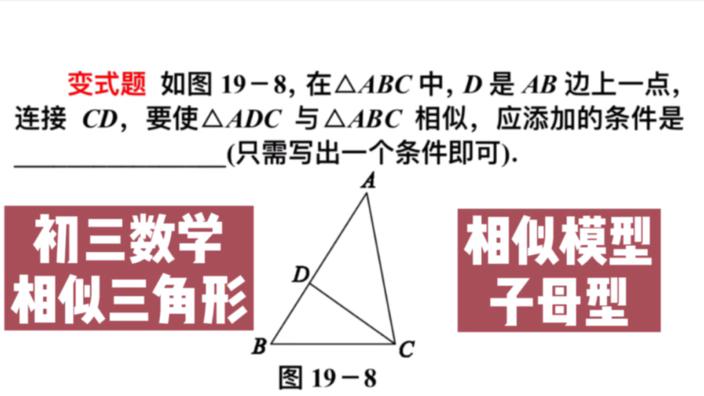 初三数学 相似三角形经典模型 子母型 还添什么条件才能相似 西瓜视频