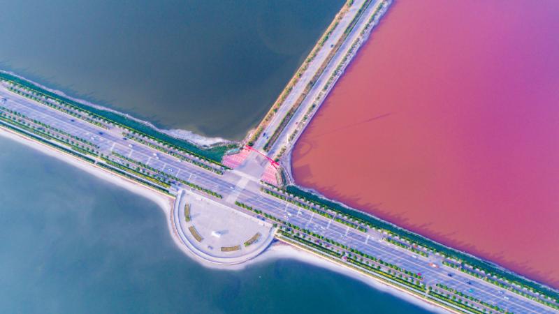 山西运城:死海盐湖变“鸳鸯锅” 半红半绿色彩艳丽  西瓜视频