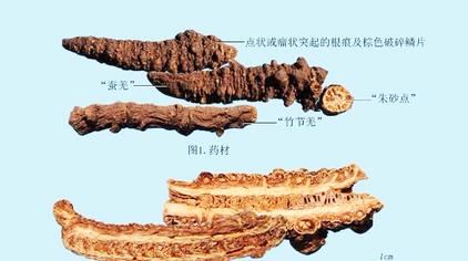 藁怎么读图片