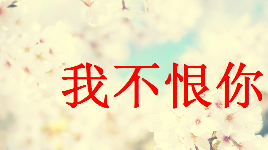 郑源电影主旋律,最早的《我不恨你》是什么味道的,原汁原味