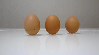 鸡蛋竖起来的图片图片