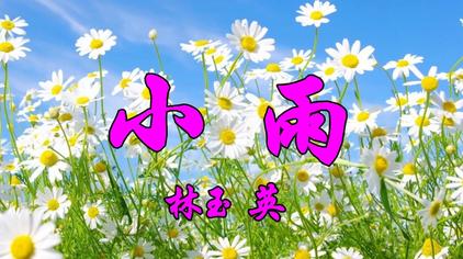 林玉英小雨现场版 - 西瓜视频