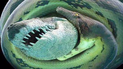远古十大巨鲨鳄鱼图片