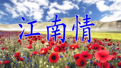 04:48幽悦音乐风语的一首《江南情》旋律动听歌声甜美,犹如春风拂面