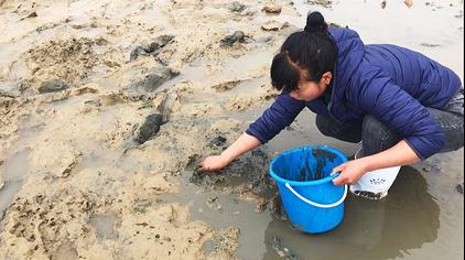 04:01大汉小敏赶海记这片滩涂全是蛤蜊免费抓,就怕拿不动,夫妻俩半