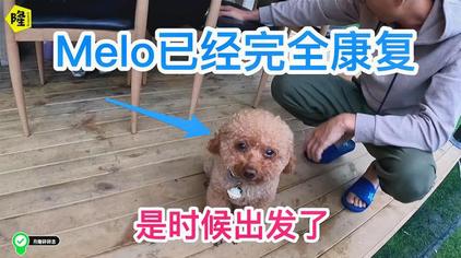 月隆碎碎念视频在线观看 - 西瓜视频