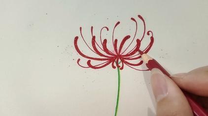 彼岸花彩铅画 西瓜视频