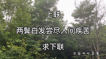 尝遍人间疾苦英语翻译 西瓜视频