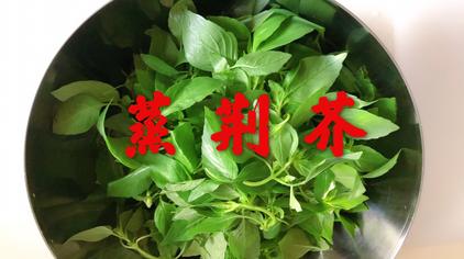 02中药师东兰荆芥穗的药用知识,生用好,还是炒制过的好,你怎么看652次