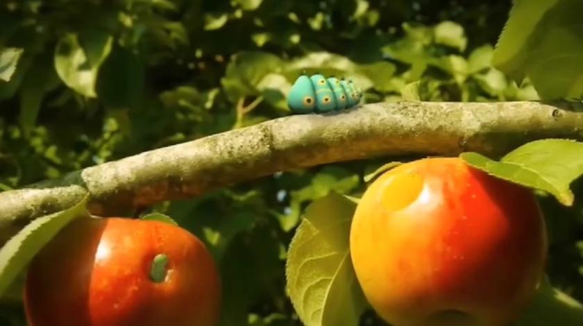 昆虫的小世界的个人主页 西瓜视频