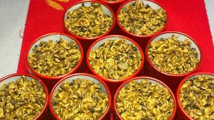 金螺泰国神话剧全集 西瓜视频