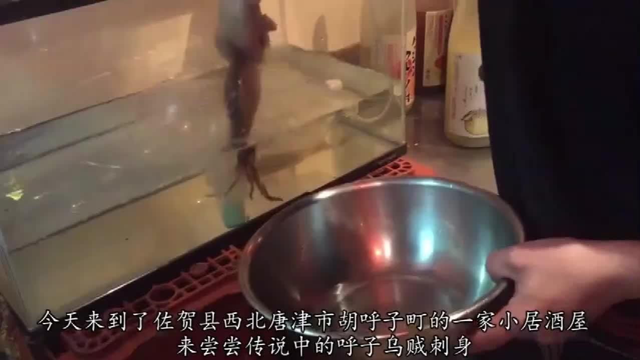 试吃鲜活乌贼刺身 一般人都很难下口 西瓜视频
