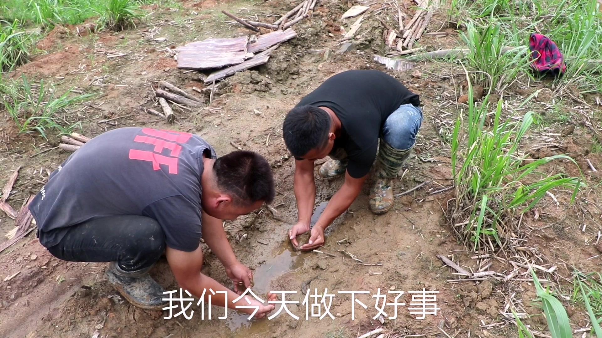 石头秀的个人主页 - 西瓜视频