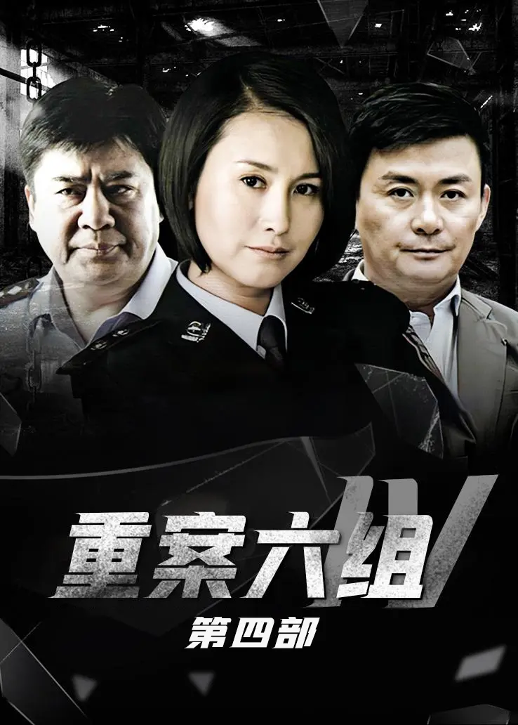 重案六组第四部封面图